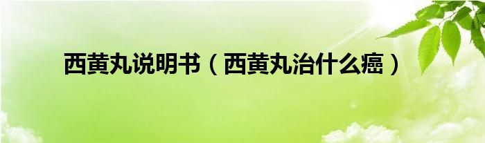 西黃丸說(shuō)明書(shū)（西黃丸治什么癌）