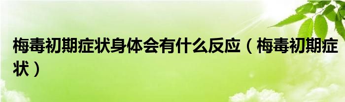 梅毒初期癥狀身體會有什么反應(yīng)（梅毒初期癥狀）