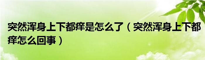 突然渾身上下都癢是怎么了（突然渾身上下都癢怎么回事）