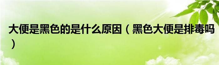 大便是黑色的是什么原因（黑色大便是排毒嗎）