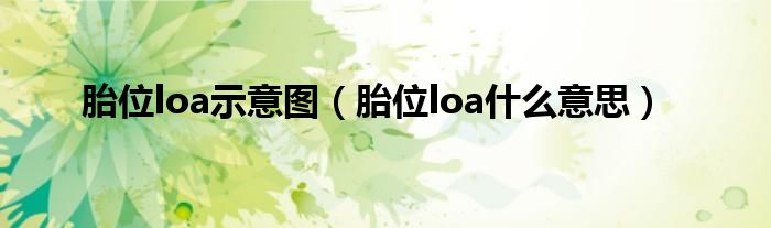 胎位loa示意圖（胎位loa什么意思）