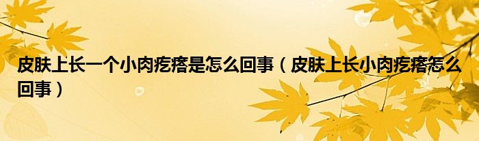 皮膚上長(zhǎng)一個(gè)小肉疙瘩是怎么回事（皮膚上長(zhǎng)小肉疙瘩怎么回事）