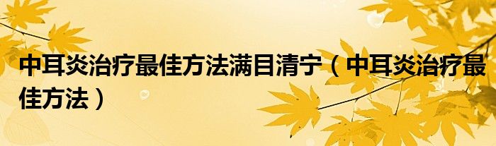 中耳炎治療最佳方法滿(mǎn)目清寧（中耳炎治療最佳方法）