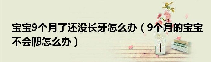 寶寶9個(gè)月了還沒長牙怎么辦（9個(gè)月的寶寶不會(huì)爬怎么辦）