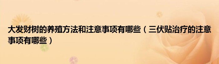 大發(fā)財(cái)樹(shù)的養(yǎng)殖方法和注意事項(xiàng)有哪些（三伏貼治療的注意事項(xiàng)有哪些）