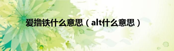 愛擼鐵什么意思（alt什么意思）