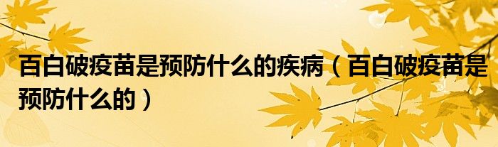 百白破疫苗是預(yù)防什么的疾?。ò侔灼埔呙缡穷A(yù)防什么的）