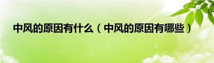 中風(fēng)的原因有什么（中風(fēng)的原因有哪些）