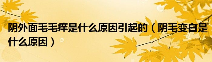 陰外面毛毛癢是什么原因引起的（陰毛變白是什么原因）