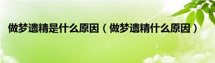 做夢(mèng)遺精是什么原因（做夢(mèng)遺精什么原因）