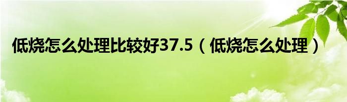 低燒怎么處理比較好37.5（低燒怎么處理）