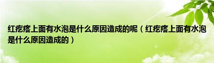 紅疙瘩上面有水泡是什么原因造成的呢（紅疙瘩上面有水泡是什么原因造成的）