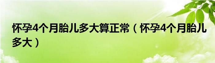 懷孕4個(gè)月胎兒多大算正常（懷孕4個(gè)月胎兒多大）