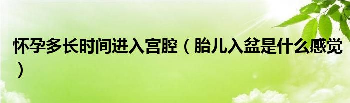 懷孕多長(zhǎng)時(shí)間進(jìn)入宮腔（胎兒入盆是什么感覺(jué)）