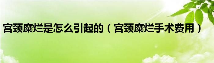 宮頸糜爛是怎么引起的（宮頸糜爛手術(shù)費(fèi)用）