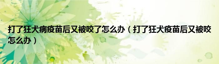 打了狂犬病疫苗后又被咬了怎么辦（打了狂犬疫苗后又被咬怎么辦）