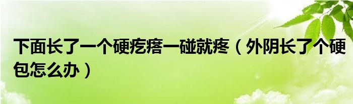 下面長(zhǎng)了一個(gè)硬疙瘩一碰就疼（外陰長(zhǎng)了個(gè)硬包怎么辦）