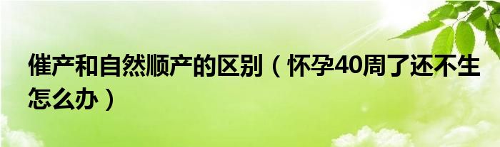 催產(chǎn)和自然順產(chǎn)的區(qū)別（懷孕40周了還不生怎么辦）