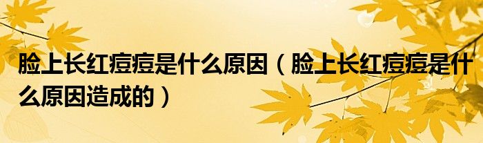 臉上長(zhǎng)紅痘痘是什么原因（臉上長(zhǎng)紅痘痘是什么原因造成的）