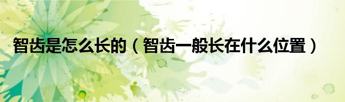 智齒是怎么長(zhǎng)的（智齒一般長(zhǎng)在什么位置）