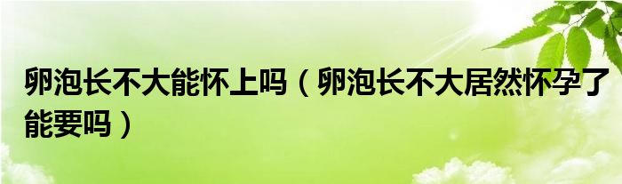 卵泡長(zhǎng)不大能懷上嗎（卵泡長(zhǎng)不大居然懷孕了能要嗎）