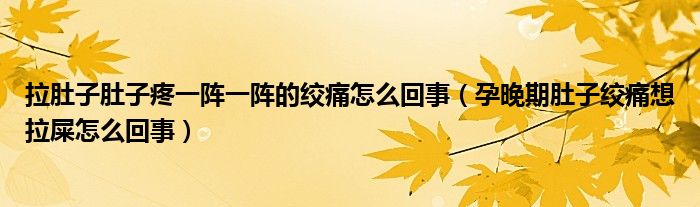 拉肚子肚子疼一陣一陣的絞痛怎么回事（孕晚期肚子絞痛想拉屎怎么回事）