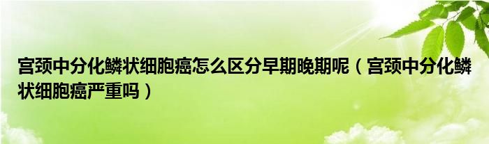 宮頸中分化鱗狀細(xì)胞癌怎么區(qū)分早期晚期呢（宮頸中分化鱗狀細(xì)胞癌嚴(yán)重嗎）