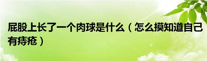 屁股上長(zhǎng)了一個(gè)肉球是什么（怎么摸知道自己有痔瘡）