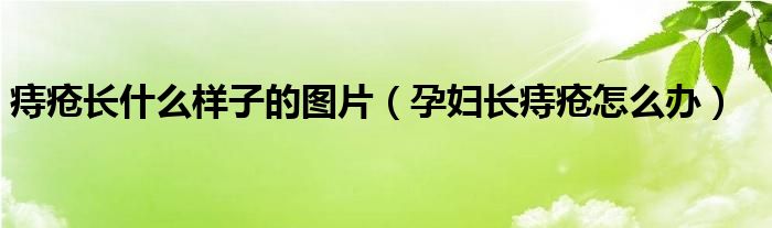 痔瘡長(zhǎng)什么樣子的圖片（孕婦長(zhǎng)痔瘡怎么辦）