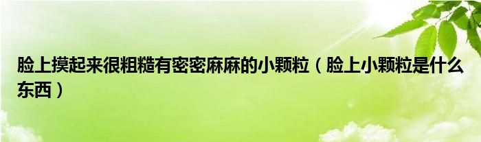 臉上摸起來很粗糙有密密麻麻的小顆粒（臉上小顆粒是什么東西）