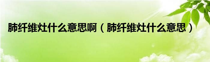 肺纖維灶什么意思啊（肺纖維灶什么意思）