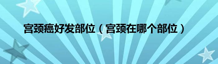 宮頸癌好發(fā)部位（宮頸在哪個部位）