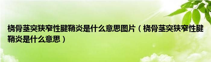 橈骨莖突狹窄性腱鞘炎是什么意思圖片（橈骨莖突狹窄性腱鞘炎是什么意思）