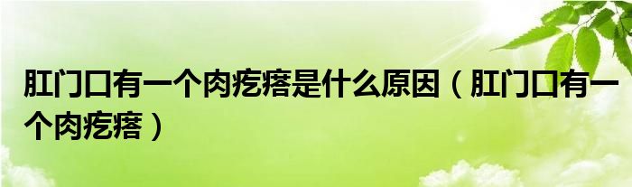 肛門口有一個肉疙瘩是什么原因（肛門口有一個肉疙瘩）