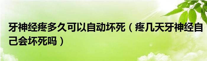 牙神經(jīng)疼多久可以自動壞死（疼幾天牙神經(jīng)自己會壞死嗎）