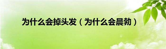 為什么會掉頭發(fā)（為什么會晨勃）