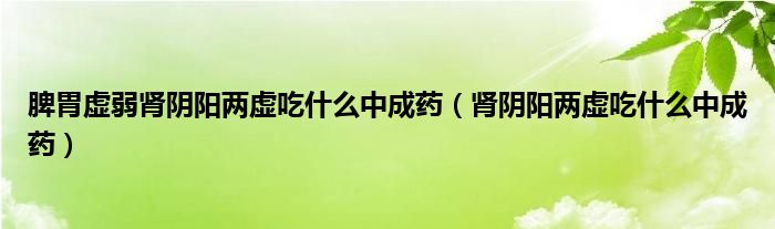 脾胃虛弱腎陰陽兩虛吃什么中成藥（腎陰陽兩虛吃什么中成藥）