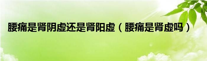 腰痛是腎陰虛還是腎陽(yáng)虛（腰痛是腎虛嗎）