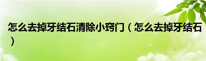 怎么去掉牙結(jié)石清除小竅門（怎么去掉牙結(jié)石）