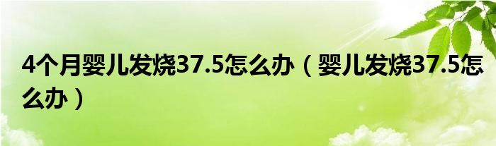 4個(gè)月嬰兒發(fā)燒37.5怎么辦（嬰兒發(fā)燒37.5怎么辦）