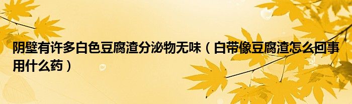 陰壁有許多白色豆腐渣分泌物無味（白帶像豆腐渣怎么回事用什么藥）