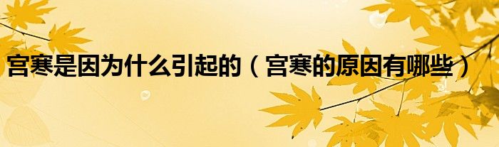 宮寒是因?yàn)槭裁匆鸬模▽m寒的原因有哪些）