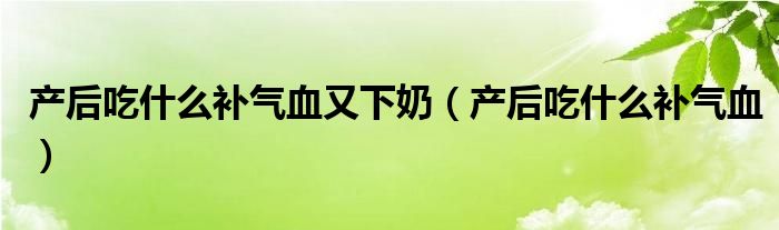 產(chǎn)后吃什么補(bǔ)氣血又下奶（產(chǎn)后吃什么補(bǔ)氣血）