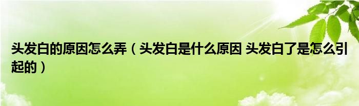 頭發(fā)白的原因怎么弄（頭發(fā)白是什么原因 頭發(fā)白了是怎么引起的）