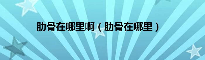 肋骨在哪里?。ɡ吖窃谀睦铮?class='thumb lazy' /></a>
		    <header>
		<h2><a  href=