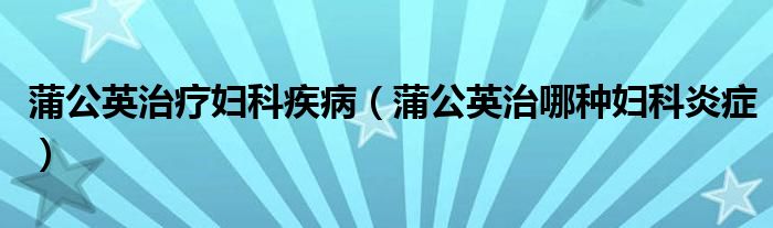 蒲公英治療婦科疾?。ㄆ压⒅文姆N婦科炎癥）