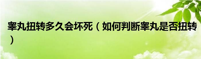 睪丸扭轉(zhuǎn)多久會(huì)壞死（如何判斷睪丸是否扭轉(zhuǎn)）