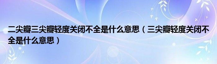 二尖瓣三尖瓣輕度關(guān)閉不全是什么意思（三尖瓣輕度關(guān)閉不全是什么意思）