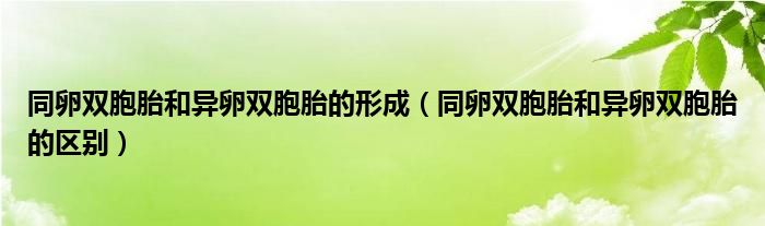 同卵雙胞胎和異卵雙胞胎的形成（同卵雙胞胎和異卵雙胞胎的區(qū)別）