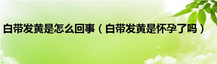 白帶發(fā)黃是怎么回事（白帶發(fā)黃是懷孕了嗎）